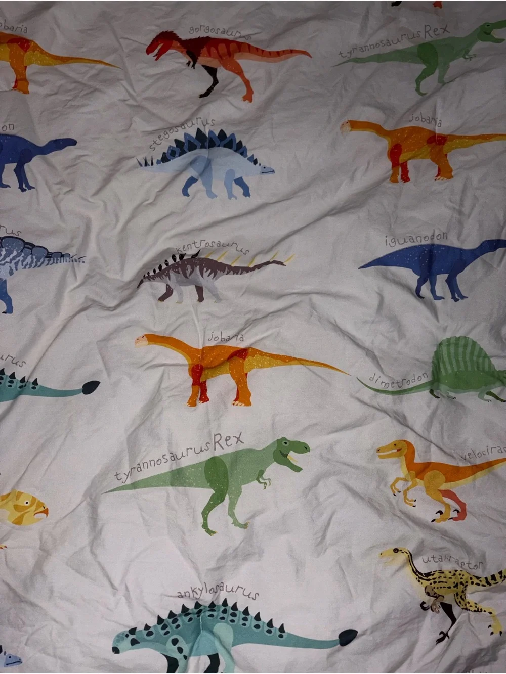 Pottery Barn Dinosaur Comforter